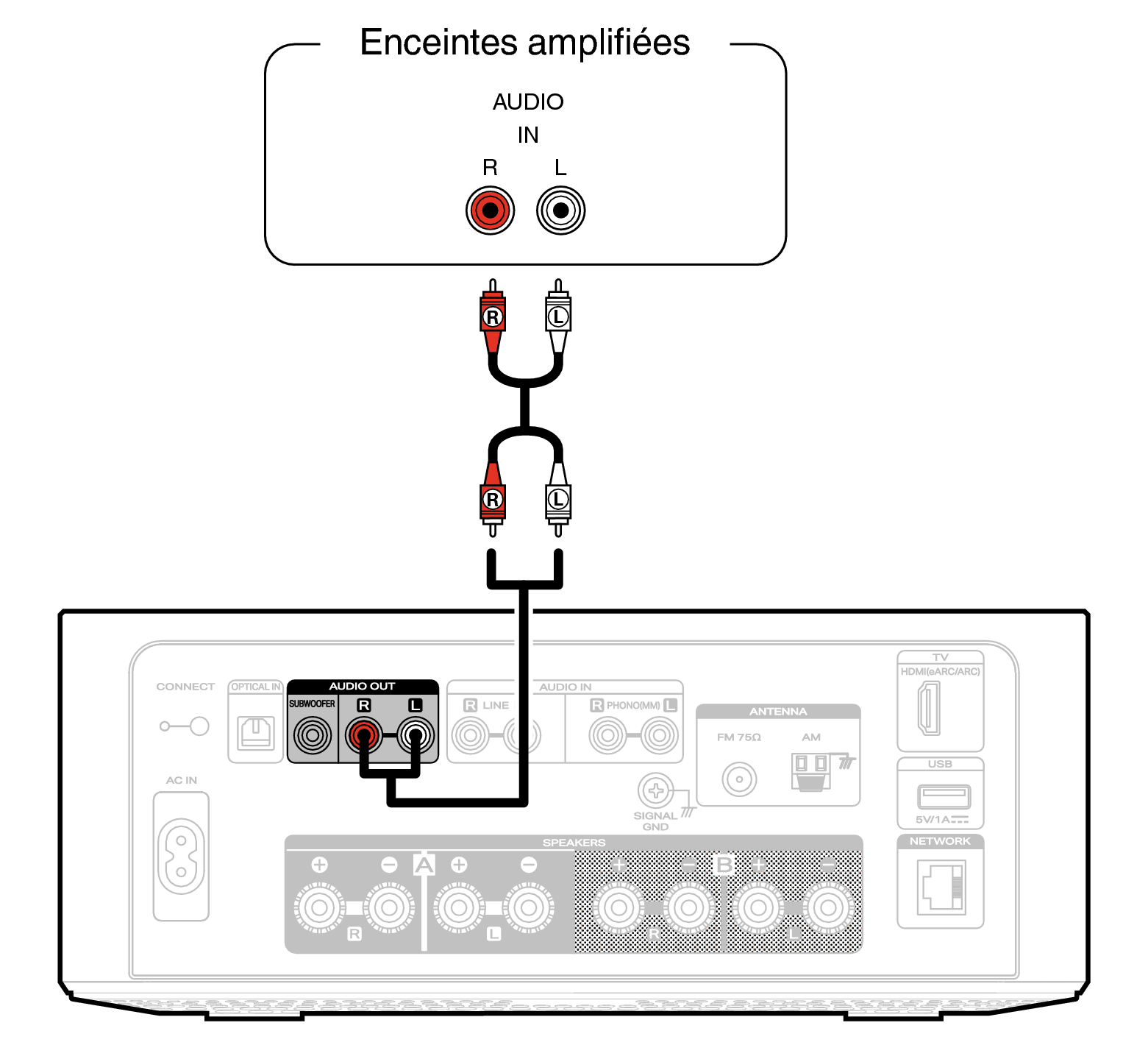 Conne Powered SP MCR60nU